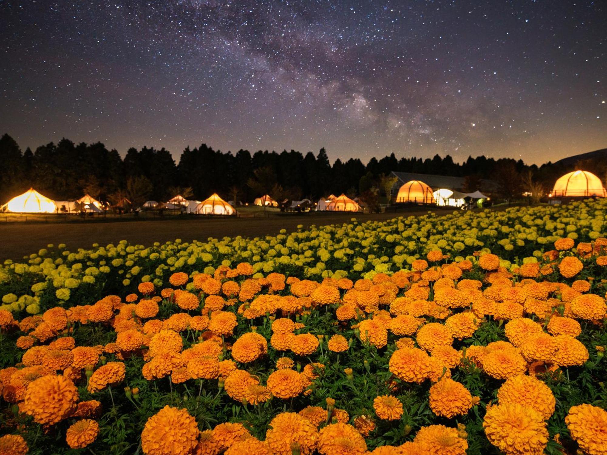 くじゅう花公園　キャンピングリゾート花と星 Kuju Luaran gambar