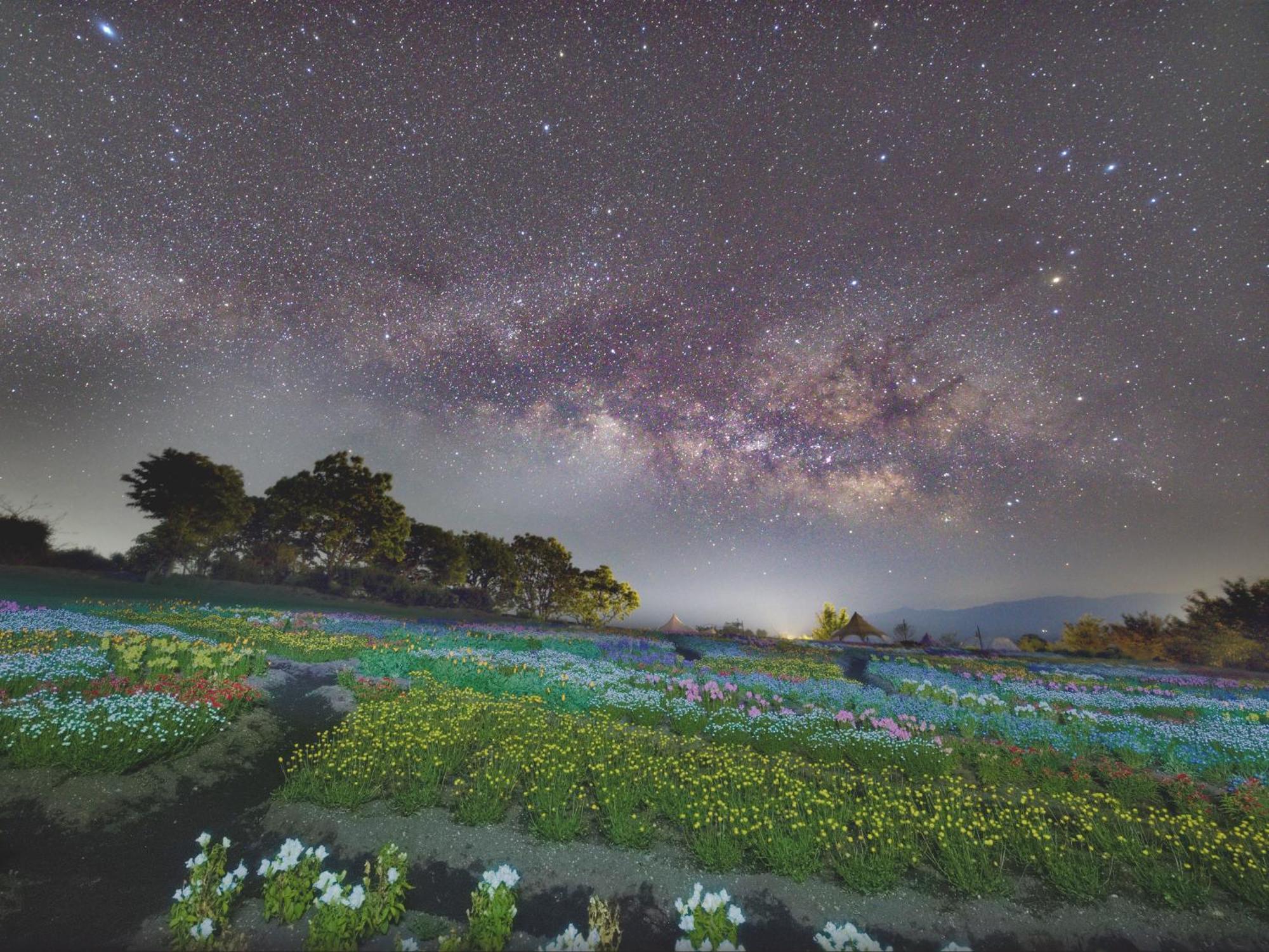 くじゅう花公園　キャンピングリゾート花と星 Kuju Luaran gambar