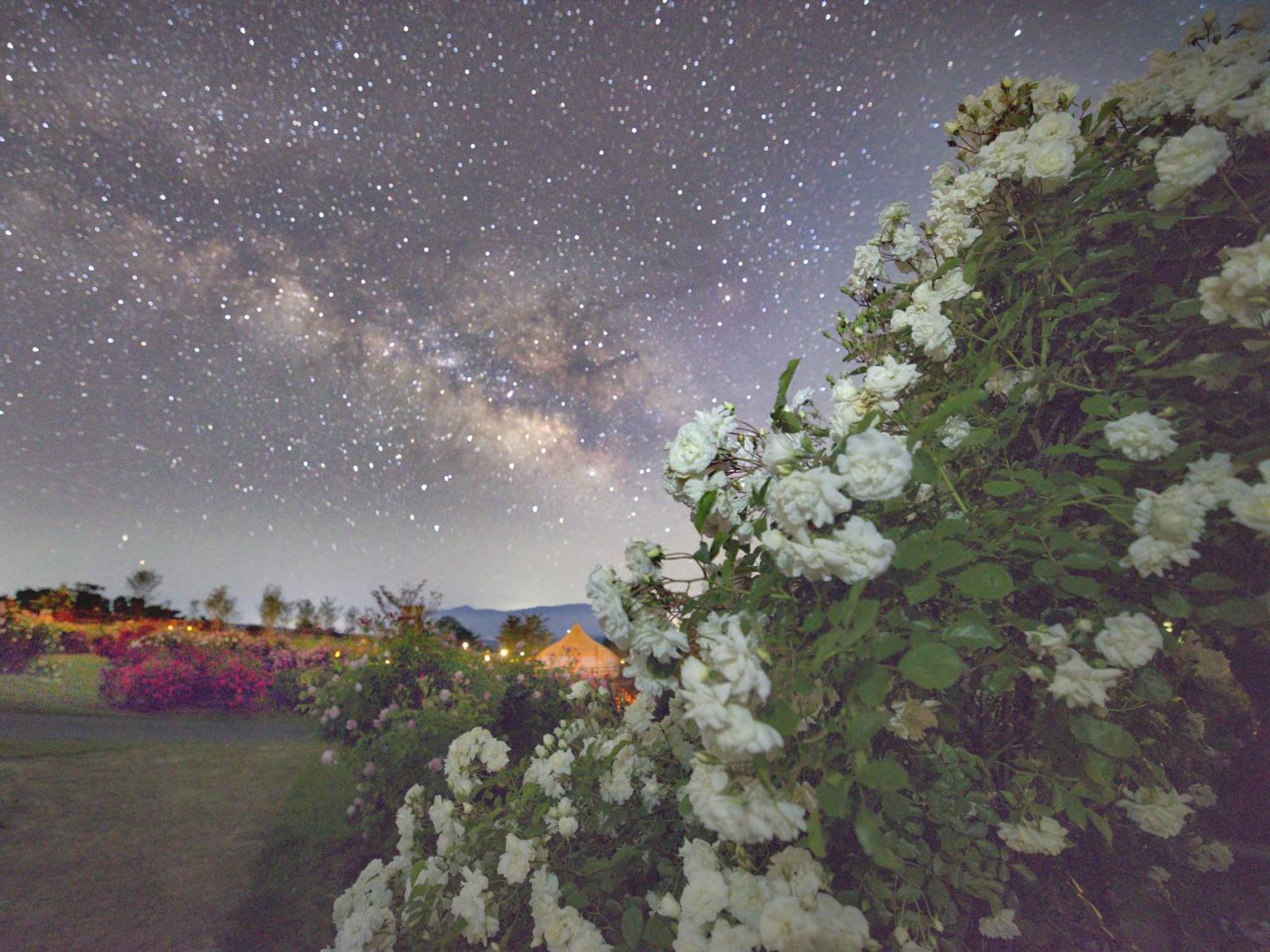 くじゅう花公園　キャンピングリゾート花と星 Kuju Luaran gambar