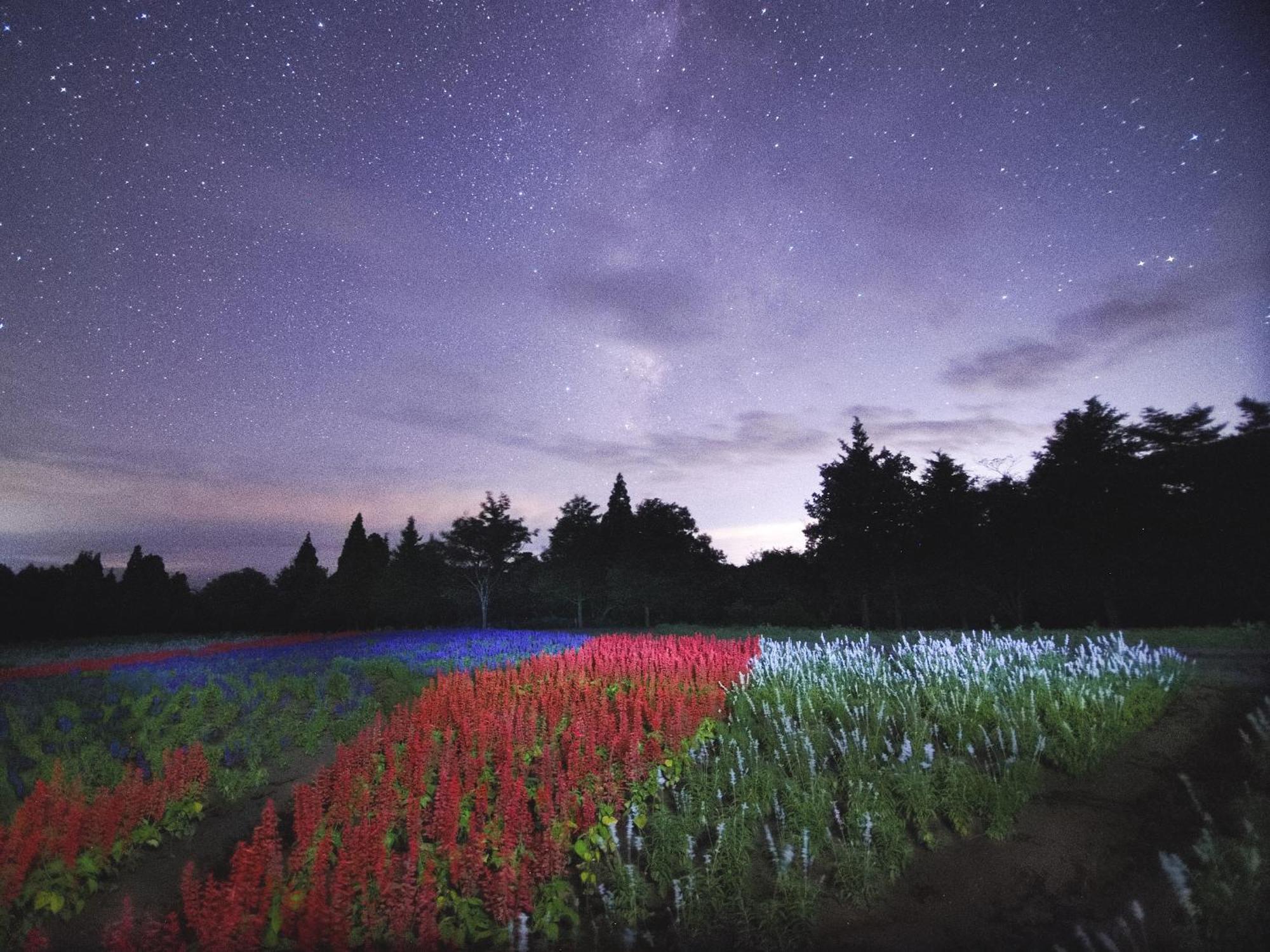 くじゅう花公園　キャンピングリゾート花と星 Kuju Luaran gambar