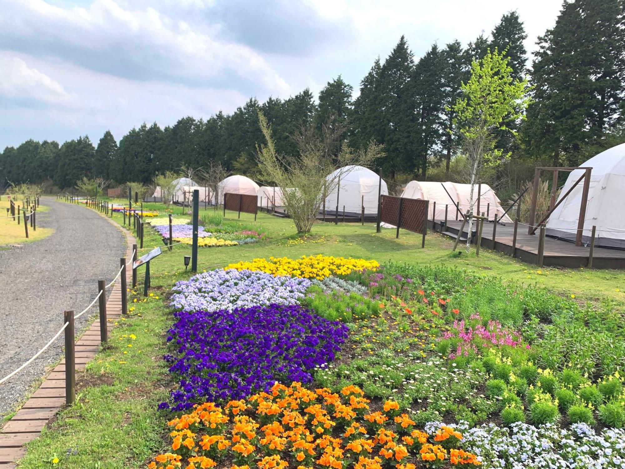 くじゅう花公園　キャンピングリゾート花と星 Kuju Luaran gambar