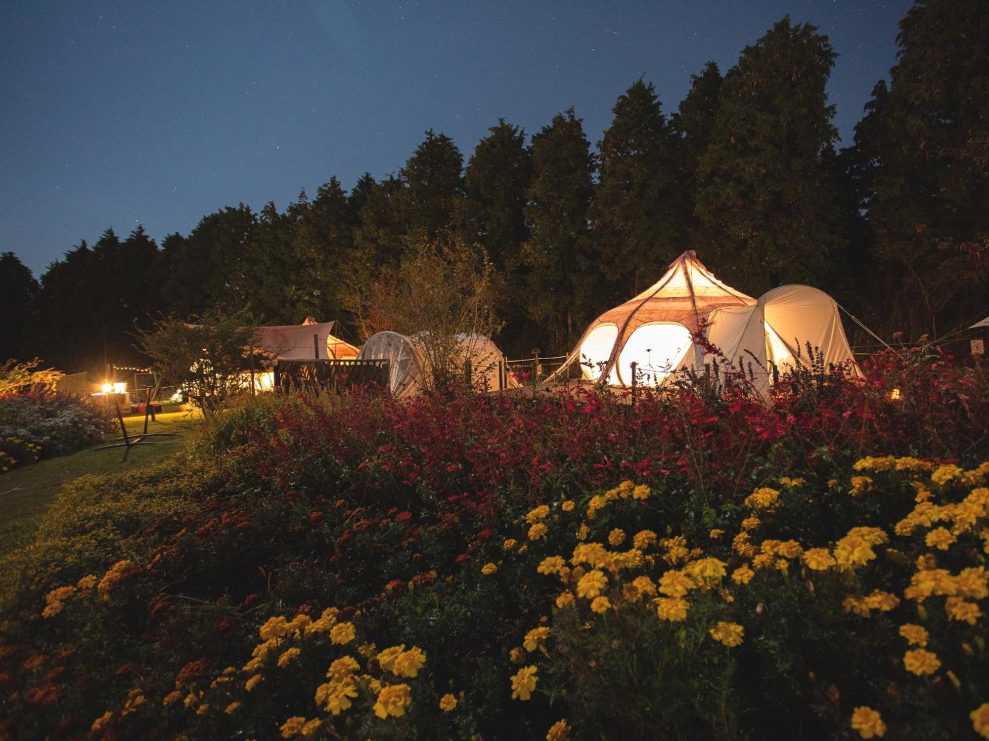 くじゅう花公園　キャンピングリゾート花と星 Kuju Luaran gambar