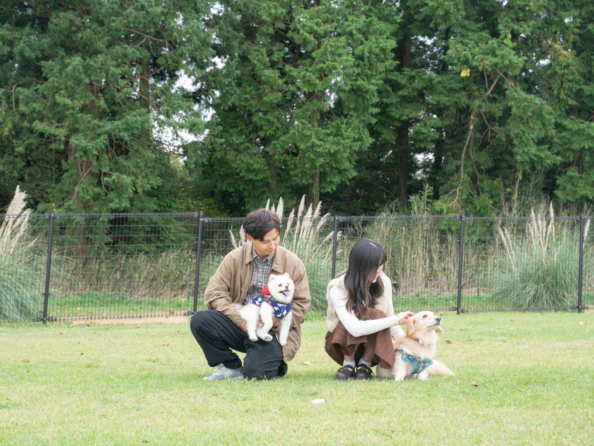 くじゅう花公園　キャンピングリゾート花と星 Kuju Luaran gambar