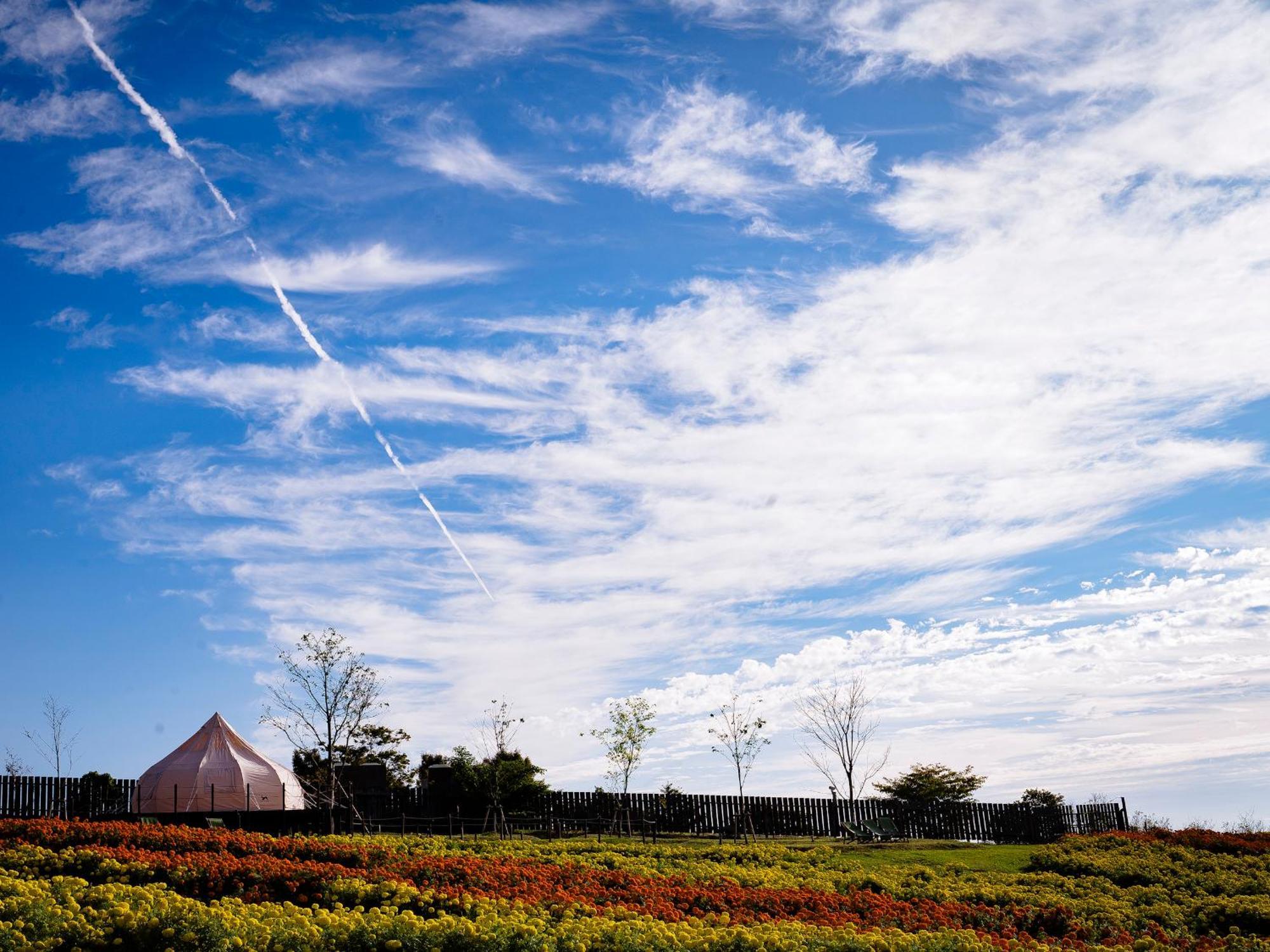 くじゅう花公園　キャンピングリゾート花と星 Kuju Luaran gambar