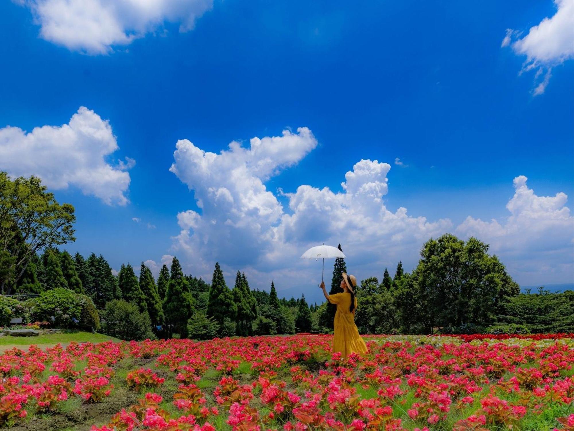 くじゅう花公園　キャンピングリゾート花と星 Kuju Luaran gambar