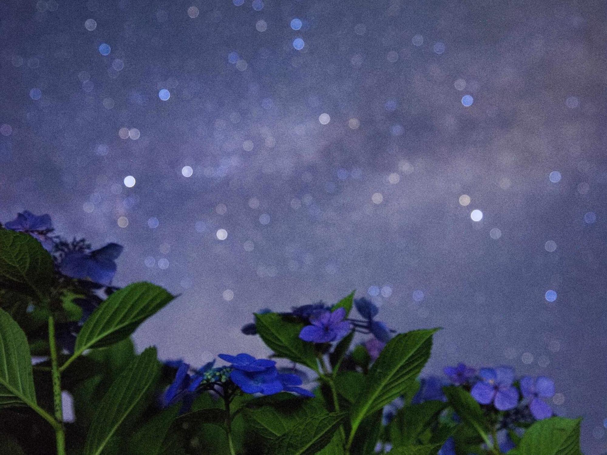 くじゅう花公園　キャンピングリゾート花と星 Kuju Luaran gambar